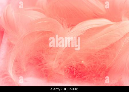 Sanfter rosafarbener abstrakter Hintergrund mit fließenden Texturen und sanften Verläufen. Das Design besticht durch schräge Formen und eine traumhafte Atmosphäre. Stockfoto