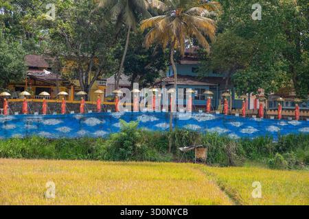 Dambulla, Sri Lanka 10. februar 2023. Reihe buddhistischer Mönchsstatuen neben dem Goldenen Tempel in Dambulla im Zentrum von Sri Lanka. Stockfoto