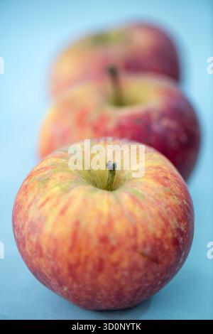 Drei leckere rote saftige frisch geerntete Bio-Äpfel auf einer Tischplatte. Frisches Obst und Gemüse, fünf am Tag. Farbenfrohe rote saftige frische Äpfel. Stockfoto