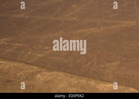 Luftaufnahme der Nazca-Linien in Peru Stockfoto
