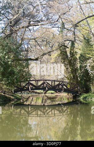Holzbrücke über einen ruhigen Teich mit Frühlingsbäumen in Vácrátót Arboretum, Ungarn. Stockfoto