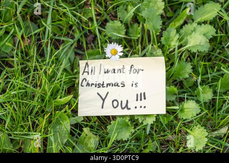 Notizheftpapier mit „All I Wish for Christmas Is you“ auf grünem Gras mit weißer Kamille – Draufsicht Stockfoto