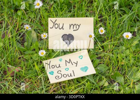 Notizheftpapier mit „All I Wish for Christmas Is you“ auf grünem Gras mit weißer Kamille – Draufsicht Stockfoto