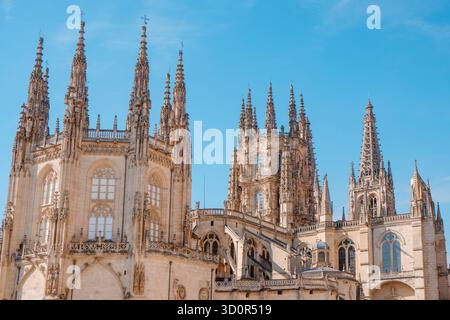 Rückansicht der Kathedrale von Burgos mit der kondestablen Kapelle und dem Laternenturm, einem Meisterwerk der spanischen gotischen Architektur, beleuchtet von warmen A Stockfoto
