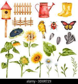 Eine Reihe von Aquarellen zum Thema Garten. Sonnenblumen, Gänseblümchen, Gras, Vogelhaus, Vogel, Schmetterlinge, Marienkäfer. Stockfoto