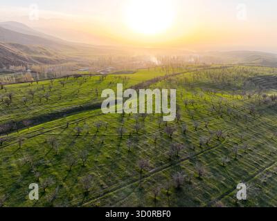 Blick aus der Vogelperspektive auf einen Obstgarten und grüne Felder, die sich über sanfte Hügel erstrecken, beleuchtet vom warmen, trüben Schein einer tief untergehenden Sonne Stockfoto