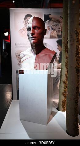 Die preisgekrönte Ausstellung Frankenstein Crafting a Tale Eternal Exbition von Guillermo del Toro in Selfridges London enthält Requisiten , Kunstwerke und Kostüme , Tiffany & Co Schmuck, die in dem von Netflix mit LFF präsentierten Film zu sehen sind . Es gibt auch einige seltene Bücher und wird von der Firma Peter Harrighton kuratiert. Tickets für Guillermo del Toros Adaption von Mary Shelleys Klassiker Frankenstein sind ab 24. Oktober 2025 ... im Cinema at Selfridges erhältlich Stockfoto