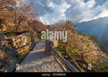 Ein fesselndes Foto zeigt die ätherische Schönheit des Wakan Village im Februar. Das Dorf wirkt himmlisch, vor einer Hügellandschaft, wie eine Aprikose Stockfoto