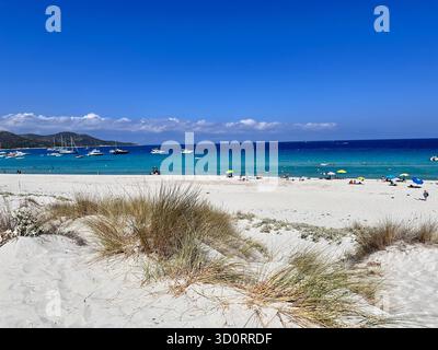 Friedlicher wilder Sandstrand auf Korsika, Frankreich, mit türkisfarbenem mediterranem Wasser und Yachten am Horizont. Stockfoto