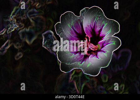 Schöne Wildblume mit Farbeffekt Stockfoto