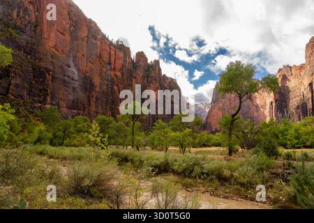 Ein schlammiger Fluss fließt durch ein üppiges grünes Tal am Fuße der majestätischen roten Sandsteinklippen im Zion-Nationalpark, Utah. Stockfoto