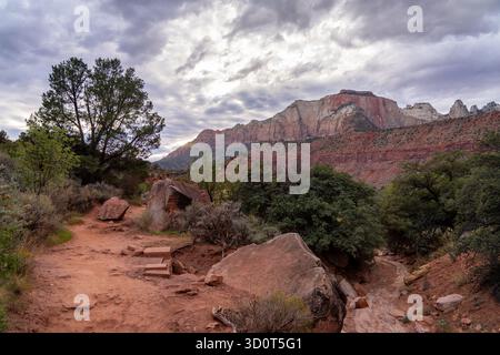 Ein Wanderweg schlängelt sich durch eine felsige Wüstenlandschaft mit roten Felsformationen und grünen Bäumen unter einem bewölkten Himmel. Stockfoto