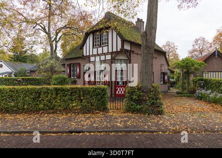 Charmantes Backsteinhaus in Haarzuilens mit Strohdach, weißen und roten Akzenten, umgeben von einer Hecke und Herbstlaub auf dem Boden. Stockfoto