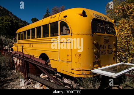 Hinter dem Old School Bus. Die Rückansicht eines alten, verlassenen Schulbusses. Stockfoto