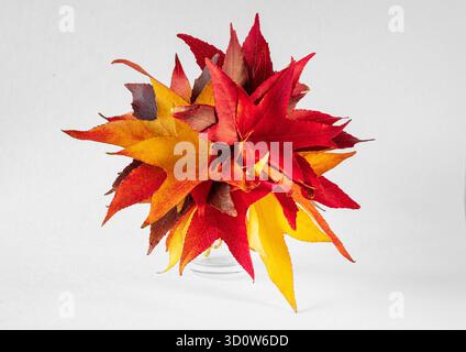 Ein Blumenstrauß aus roten und gelben Herbstblättern auf weißem Hintergrund Stockfoto