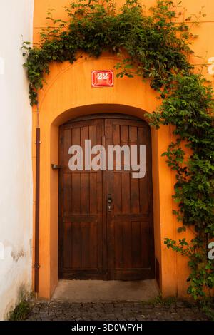 Alte Holztür mit Bogen und Kletterpflanzen an einer orangen Wand, Haus Nr. 22, alte europäische Architektur Stockfoto