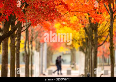 Berlin, Deutschland. Oktober 2025. Zwei Polizisten laufen zwischen Bäumen mit roten und gelben Blättern im Regierungsbezirk. Quelle: Christophe Gateau/dpa/Alamy Live News Stockfoto