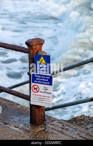 Beschilderung des gemeinderats an einem Strand auf der isle of wight, auf dem die Daten angegeben sind, dass keine Hunde am Strand oder Hunde am Strand und rutschige Oberfläche nicht erlaubt sind. Stockfoto