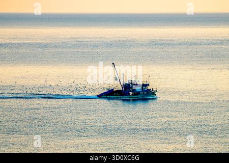 Ein Fischerboot, das von der Jagd mit Möwen im Schwarzen Meer zurückkehrt Stockfoto
