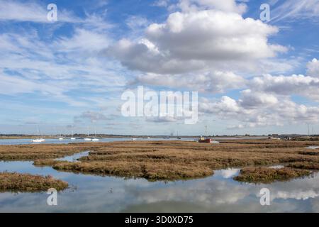 Salzwiesen am River Crouch bei Brandy Hole, Hullbridge, Essex, England, Vereinigtes Königreich Stockfoto