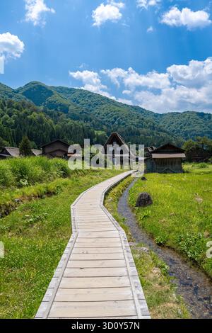 Ein schmaler Holzweg führt durch die traditionellen strohgedeckten Häuser und grünen Felder von Shirakawa-go, umgeben von üppigen bewaldeten Bergen Stockfoto