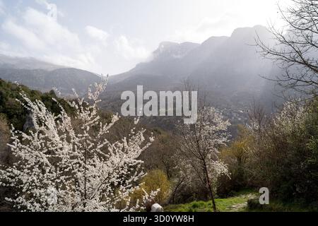Dramatischer Blick auf die Astraka Towers in Epirus, Griechenland. Sanfter Morgennebel erzeugt markante Sonnenstrahlen über die Frühlingsberglandschaft, hig Stockfoto