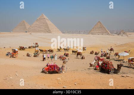 Kamele und Pferde in der Wüste mit den Pyramiden von Gizeh dahinter, einschließlich der Großen Pyramide Khufu, Khafre und Menkaure, in der Nähe von Kairo Ägypten. Stockfoto