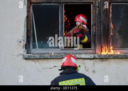 Feuerwehrmann, der ein Baby aus dem brennenden Gebäude rettet, Feuerwehrmann in Aktion Kind retten, Notfallsituation, Feuer im Haus, Gefahr, Rettungsaktion Stockfoto