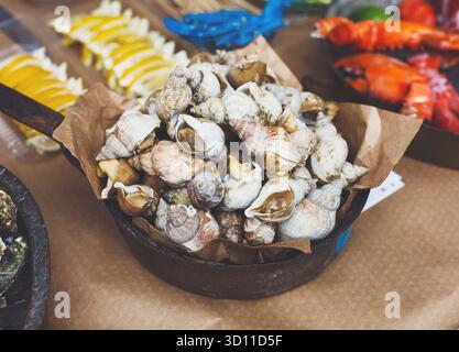 Jede Menge Fisch und Meeresfrüchte, geäderter Rapa-Welk auf der Grillpfanne Stockfoto