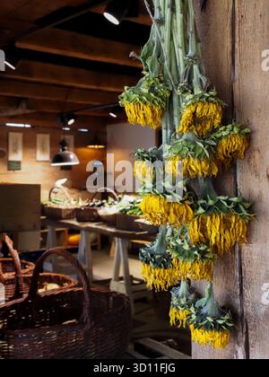 Getrocknete Sonnenblumen hängen an einer Holzwand im rustikalen Bauernladen Stockfoto