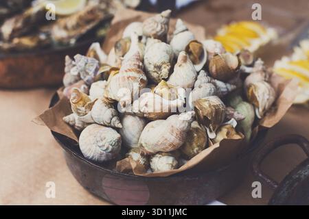 Jede Menge Fisch und Meeresfrüchte, geäderter Rapa-Welk auf der Grillpfanne Stockfoto