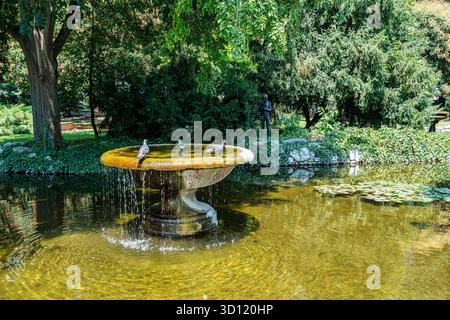 Friedliche Parkszene im Garten Zar Simeon, Plovdiv, mit einem runden Wasserbrunnen mit Tauben und einer Flötenstatue. Stockfoto