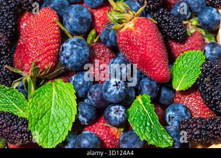 Einige Blaubeeren, Erdbeeren und Amoras in einer Schüssel Stockfoto