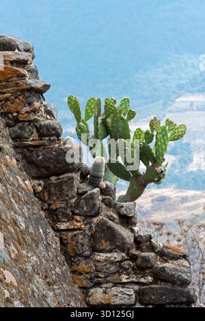 Ein Besuch der archäologischen Stätte Malinalco, Mexiko. Stockfoto