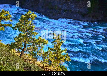 Rapids und immergrüne Bäume mit Blick auf den lebendigen Fluss in Banff Canada vom High Viewpoint aus Stockfoto