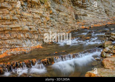 Seidenseidiger Bach fließt über geschichtete Gesteinsschichten in einer Waldlandschaft. Eine natürliche Szene, in der Erosion, Textur und dynamische Wasserbewegungen hervorgehoben werden. Stockfoto