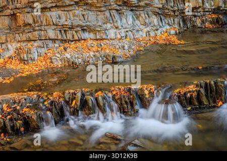 Der weiche Wasserfall fließt über geschichtete Felsen, umgeben von verstreuten Herbstblättern. Eine ruhige Waldszene mit saisonalem und geologischem Kontrast. Stockfoto
