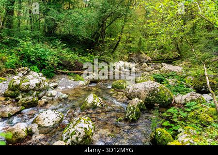 Grüne Landschaft mit traumhaften Wäldern mit Fluss, der zwischen den großen Felsen fließt, Kozjak, Slowenien. Stockfoto