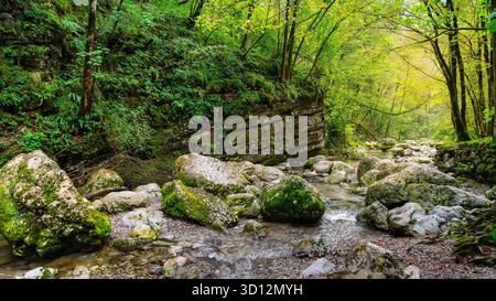 Grüne Landschaft mit traumhaften Wäldern mit Fluss, der zwischen den großen Felsen fließt, Kozjak, Slowenien. Stockfoto