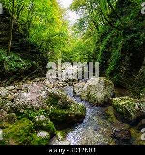 Wunderschöner Fluss, der durch einen geschlossenen Canyon im Kozjak Wald fließt, Triglav, Slowenien. Stockfoto