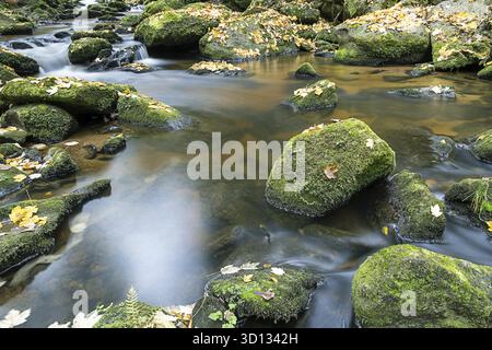 Klares Wasser fließt über moosige Steine, umgeben von Herbstlaub, Hoellfall Arbesbach Waldviertel Niederösterreich Stockfoto