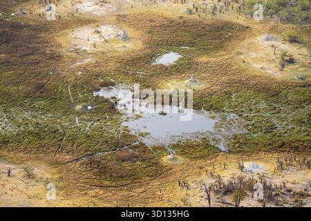 Savannenlandschaft mit Termitenhügeln, Sumpflandschaft, Blick aus der Luft, Okavango Delta, Botswana Stockfoto