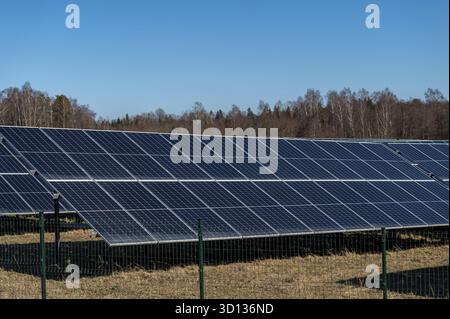 Reihen von Solarpaneelen an Land mit klarem blauem Himmel am Nachmittag Stockfoto