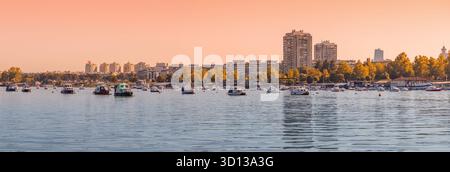 10. August 2025, Belgrad, Serbien: Panoramablick auf die Skyline und die Herbstbäume entlang der wunderschönen Donau, mit vielen kleinen Booten auf dem Wasser Stockfoto