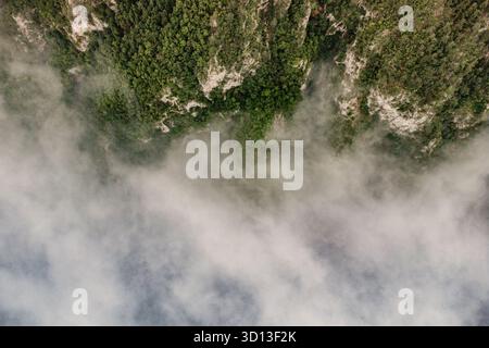 Aus der Vogelperspektive sehen Sie üppigen grünen Wald auf zerklüfteten Berggipfeln, die aus einer dichten Decke aus atmosphärischem Nebel und Wolken hervorgehen Stockfoto