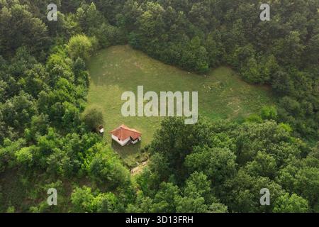 Kleines Haus eingebettet in eine grüne Waldlichtung, von oben betrachtet, symbolisiert Einsamkeit und eine Verbindung zur Natur Stockfoto