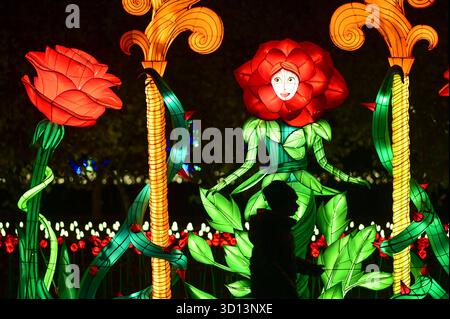 Warschau, Polen. Oktober 2025. Lichtinstallationen werden bei der Ausstellung Garden of Lights im Botanischen Garten der Polnischen Akademie der Wissenschaften in Warschau, Polen, am 25. Oktober 2025 gezeigt. Die diesjährige Ausstellung mit dem Thema „Schönheit und das Biest“ zog viele Einwohner und Touristen an. Quelle: Aleksy Witwicki/Xinhua/Alamy Live News Stockfoto