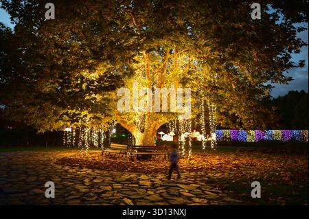 Warschau, Polen. Oktober 2025. Lichtinstallationen werden bei der Ausstellung Garden of Lights im Botanischen Garten der Polnischen Akademie der Wissenschaften in Warschau, Polen, am 25. Oktober 2025 gezeigt. Die diesjährige Ausstellung mit dem Thema „Schönheit und das Biest“ zog viele Einwohner und Touristen an. Quelle: Aleksy Witwicki/Xinhua/Alamy Live News Stockfoto