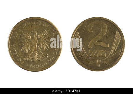 Isoliertes Objekt auf weiß - Polen Münze Stockfoto