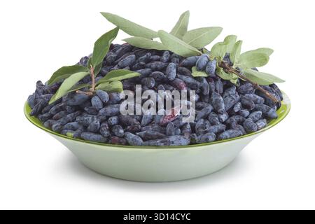Frische Geißblatt-Beeren in einem Teller isoliert auf weißem Hintergrund Stockfoto